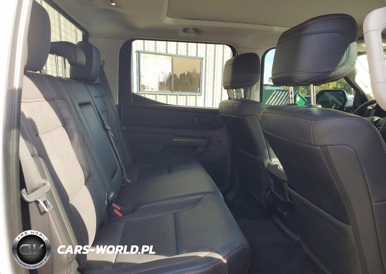 2023 Toyota Tundra Trd Pro Hv VIN:5TFPC5DB5PX028652 - 10