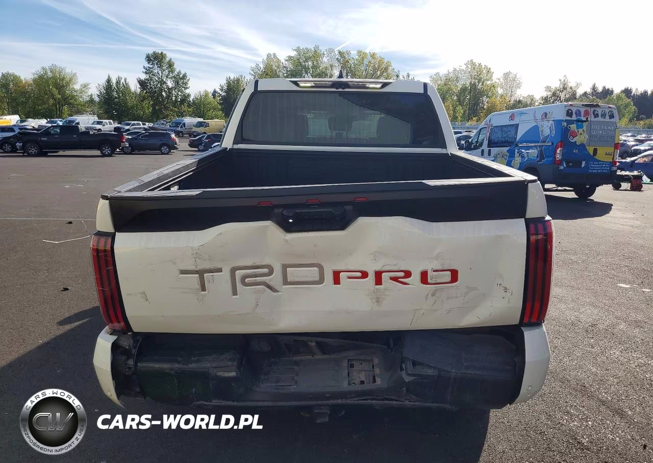 2023 Toyota Tundra Trd Pro Hv VIN:5TFPC5DB5PX028652 - 6