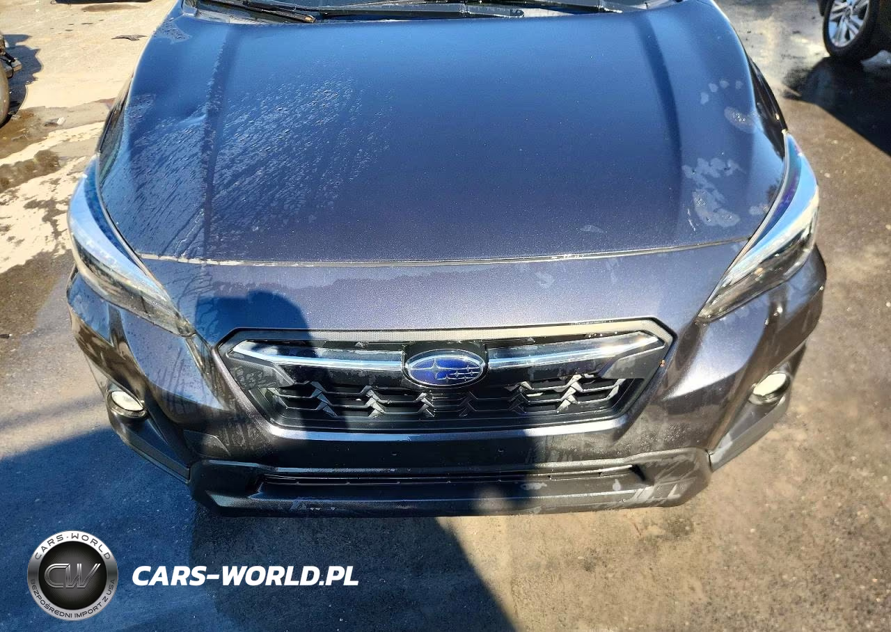 2019 Subaru Crosstrek Limited VIN:JF2GTAMC1K8266391 - 11