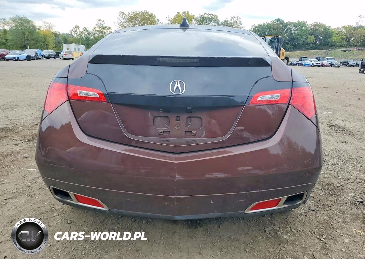 2010 Acura Zdx Technology VIN:2HNYB1H40AH501276 - 6
