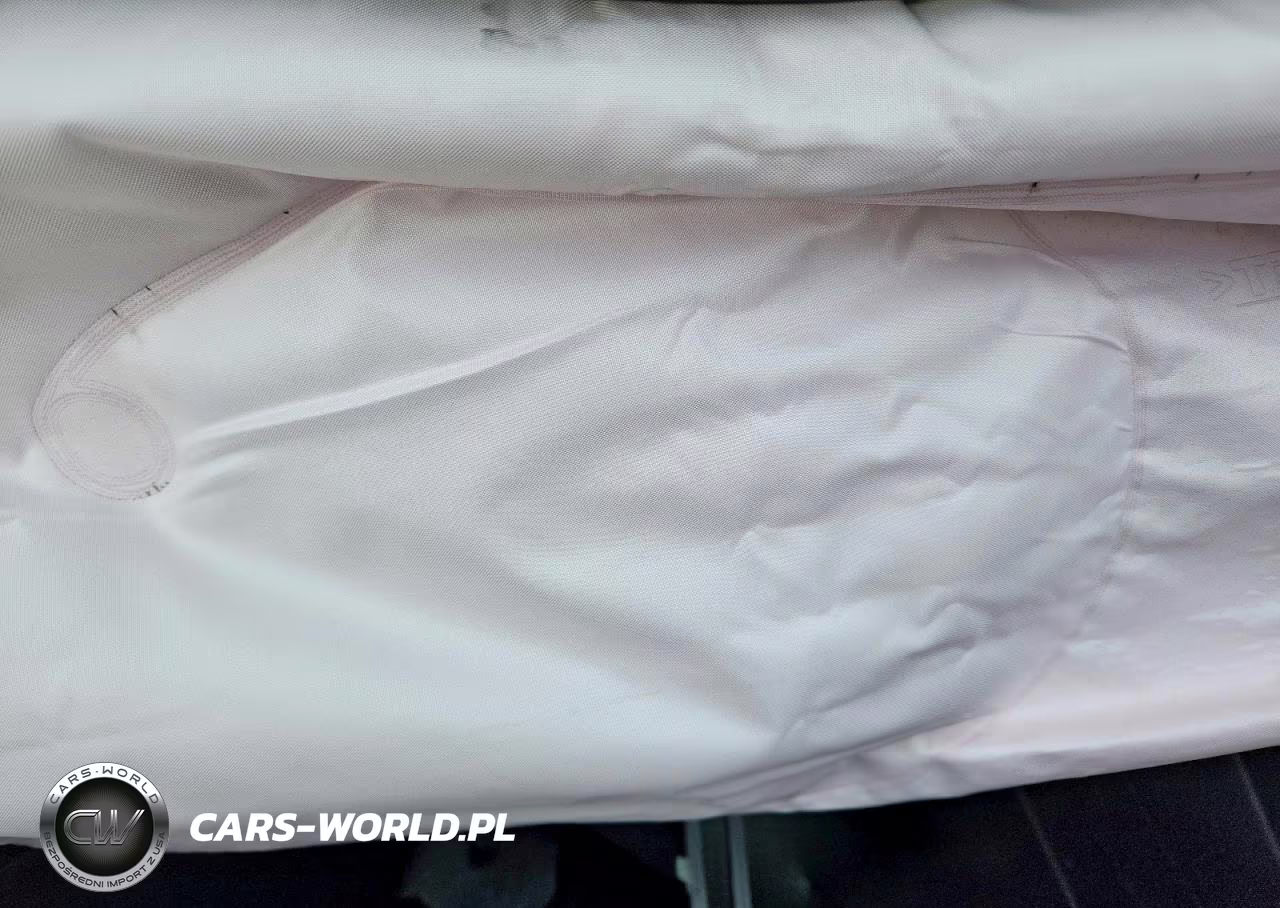 2023 Tesla Model Y VIN:7SAYGDEE7PF839765 - 10