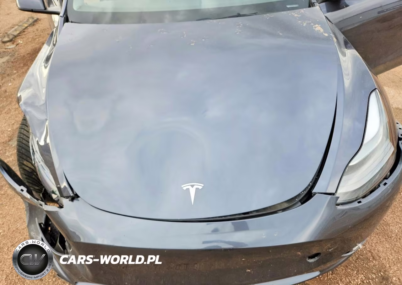 2023 Tesla Model Y VIN:7SAYGDEE7PF839765 - 11