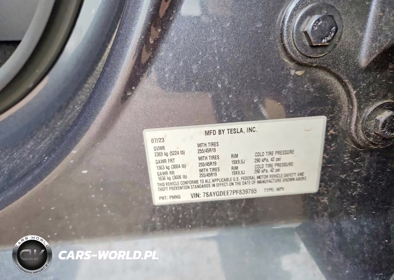 2023 Tesla Model Y VIN:7SAYGDEE7PF839765 - 12