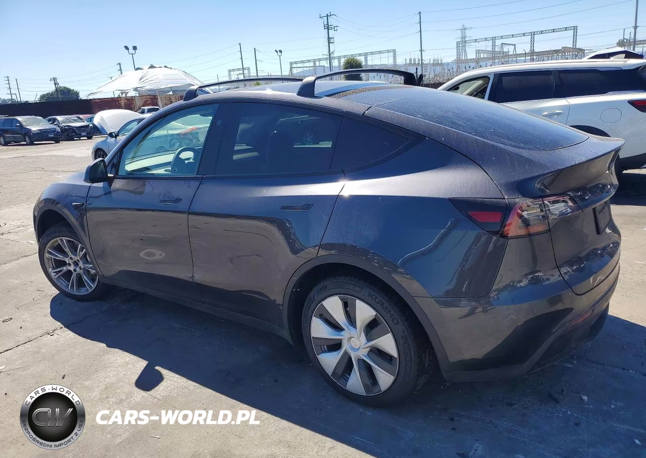 2024 Tesla Model Y VIN:7SAYGDED4RF095620 - 2