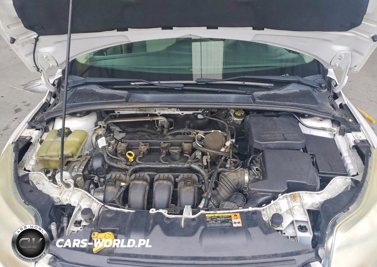 2014 Ford Focus Se VIN:1FADP3F2XEL190246 - 11