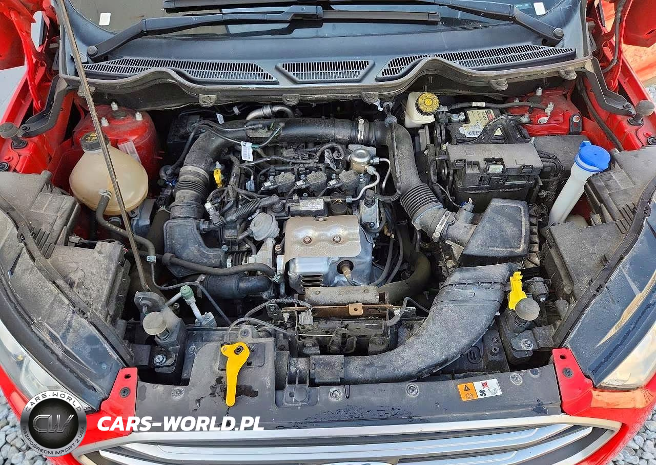 2021 Ford Ecosport Se VIN:MAJ3S2GE5MC437474 - 11