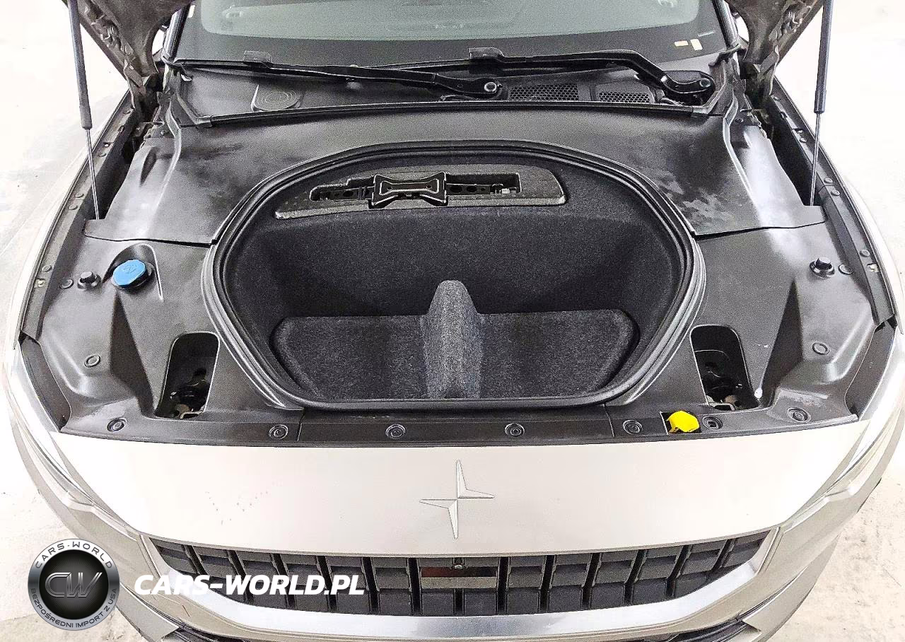 2021 Polestar 2 VIN:LPSED3KA6ML024916 - 11