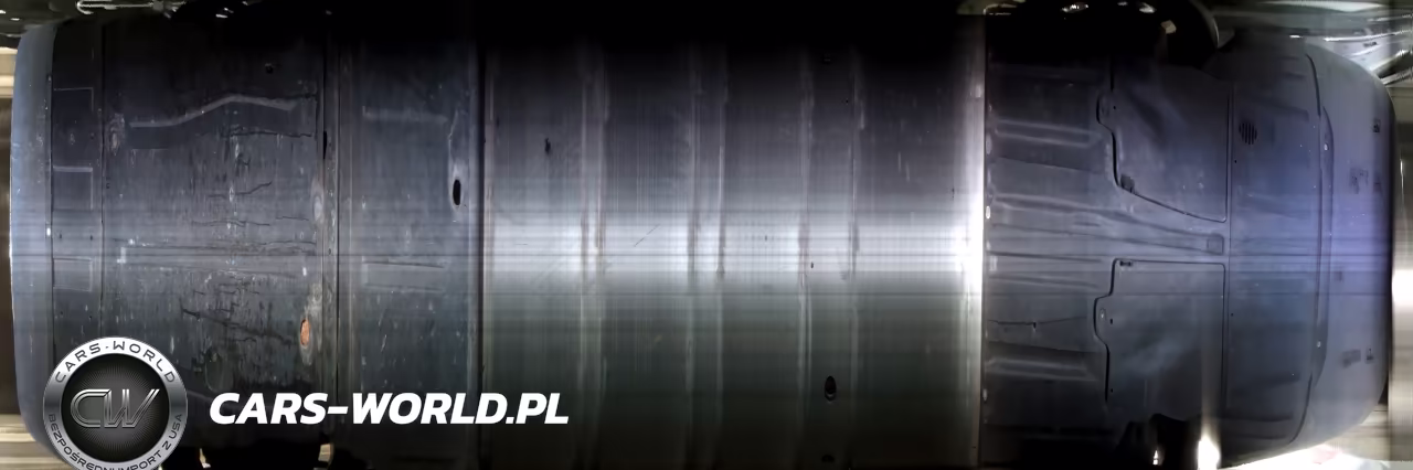2021 Polestar 2 VIN:LPSED3KA6ML024916 - 13