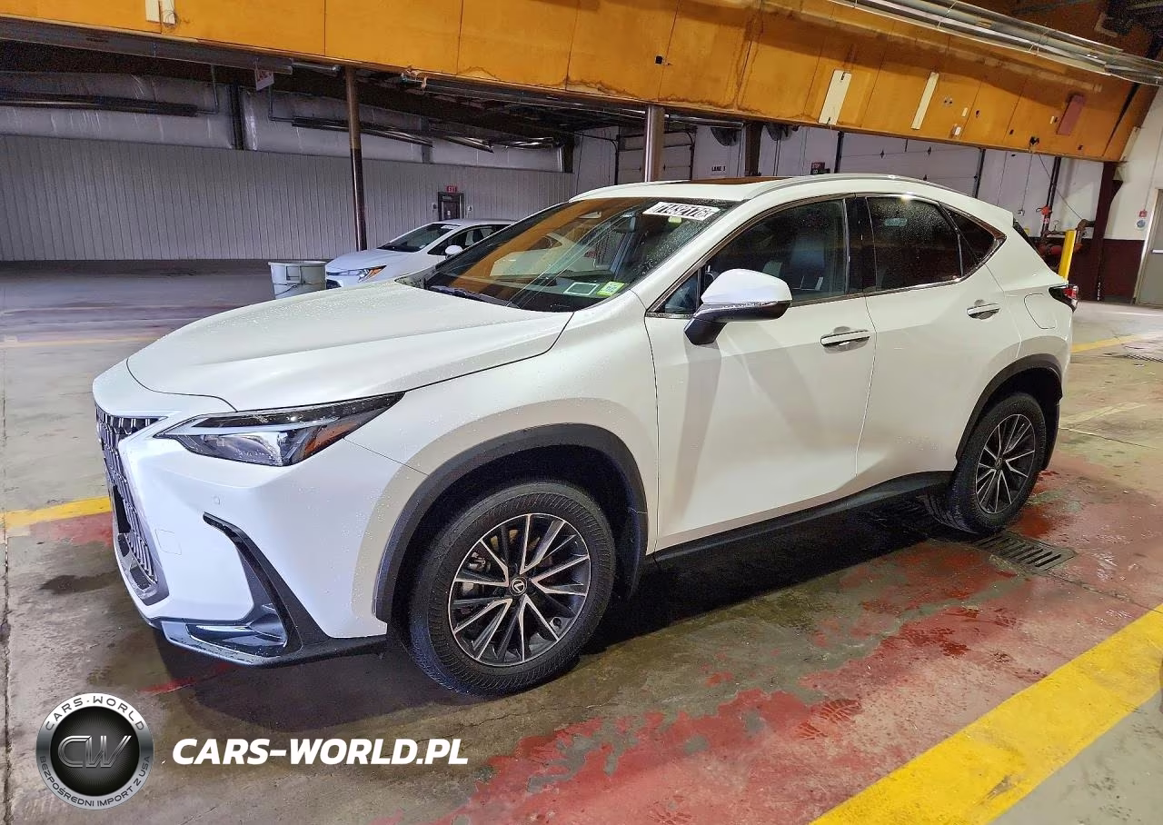 2024 Lexus Nx 350 Premium VIN:2T2GGCEZ5RC051317 - 1