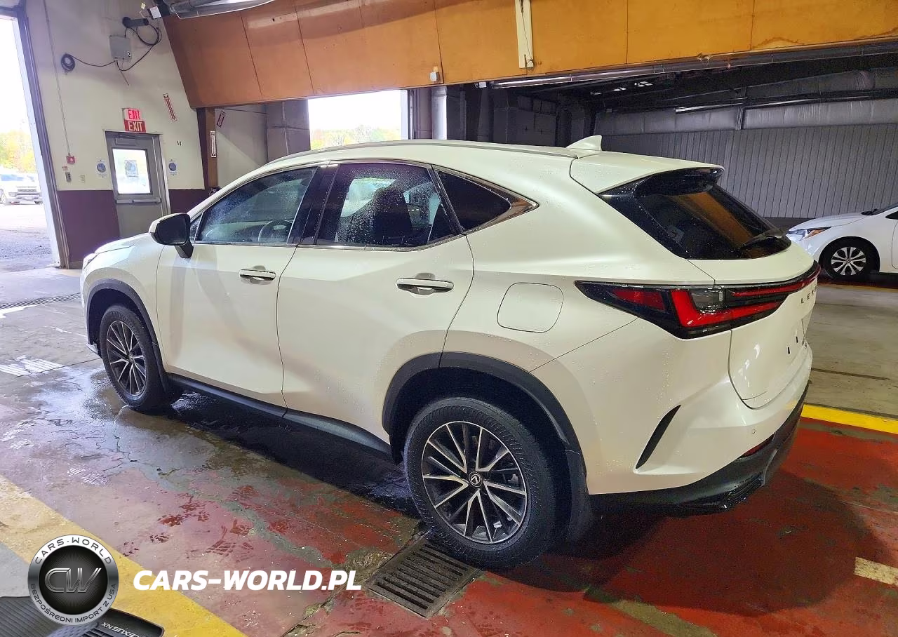 2024 Lexus Nx 350 Premium VIN:2T2GGCEZ5RC051317 - 2