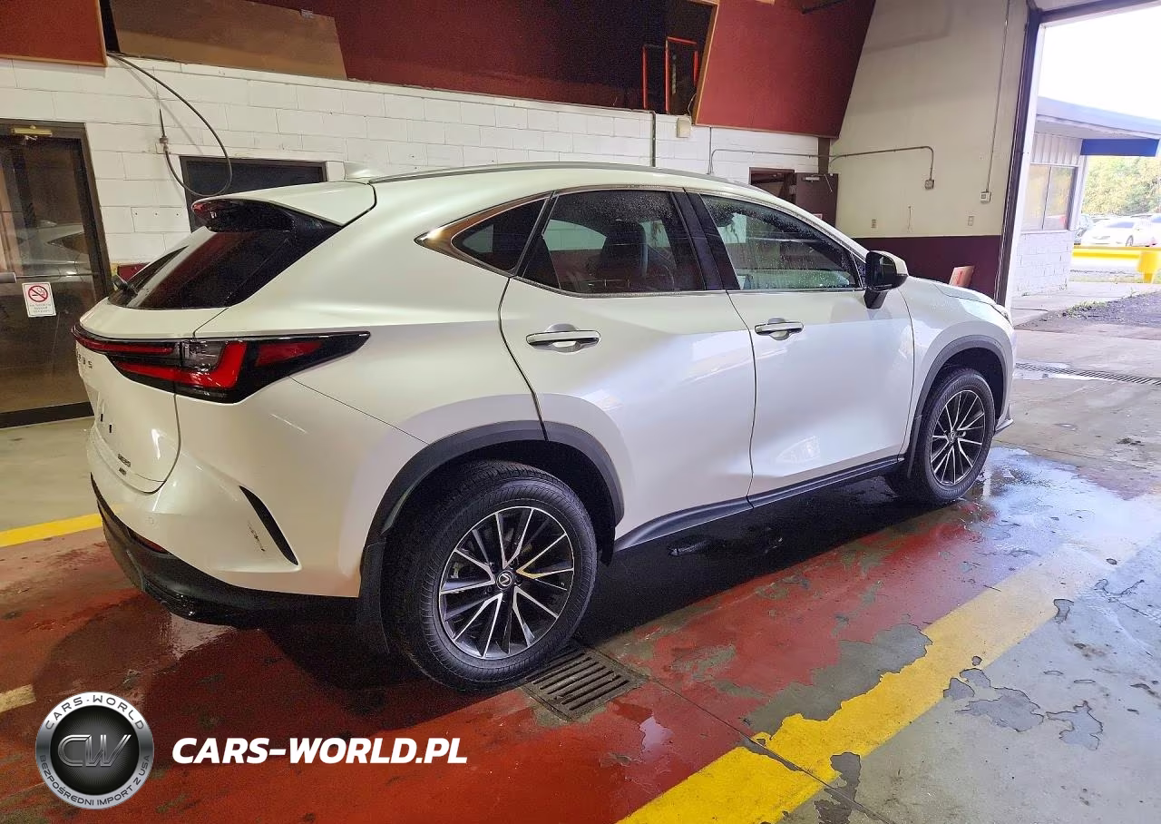 2024 Lexus Nx 350 Premium VIN:2T2GGCEZ5RC051317 - 3