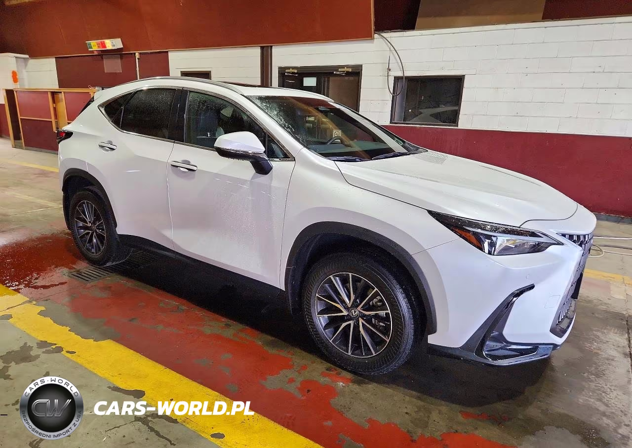 2024 Lexus Nx 350 Premium VIN:2T2GGCEZ5RC051317 - 4
