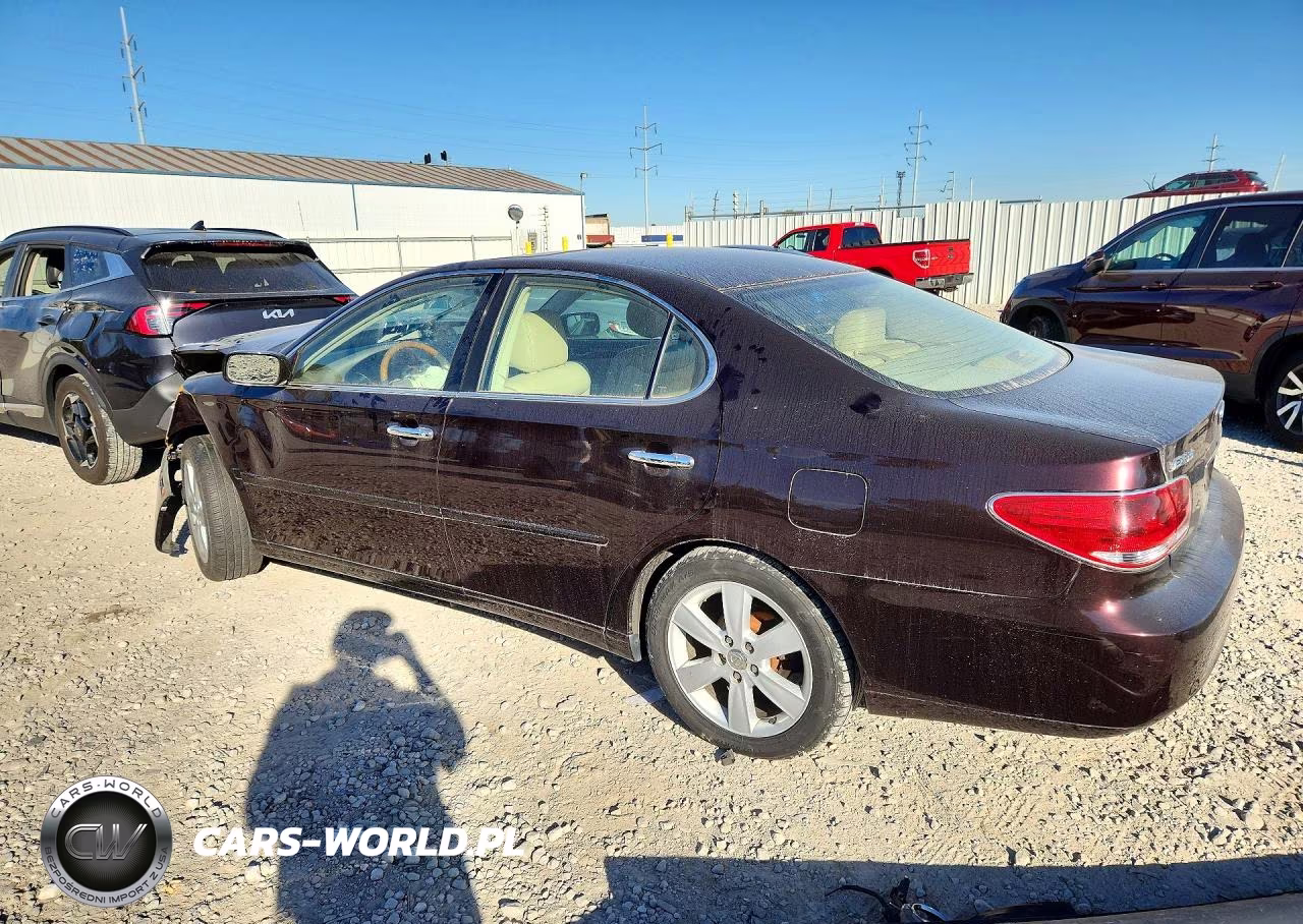 2005 Lexus Es 330 VIN:JTHBA30G955063238 - 2