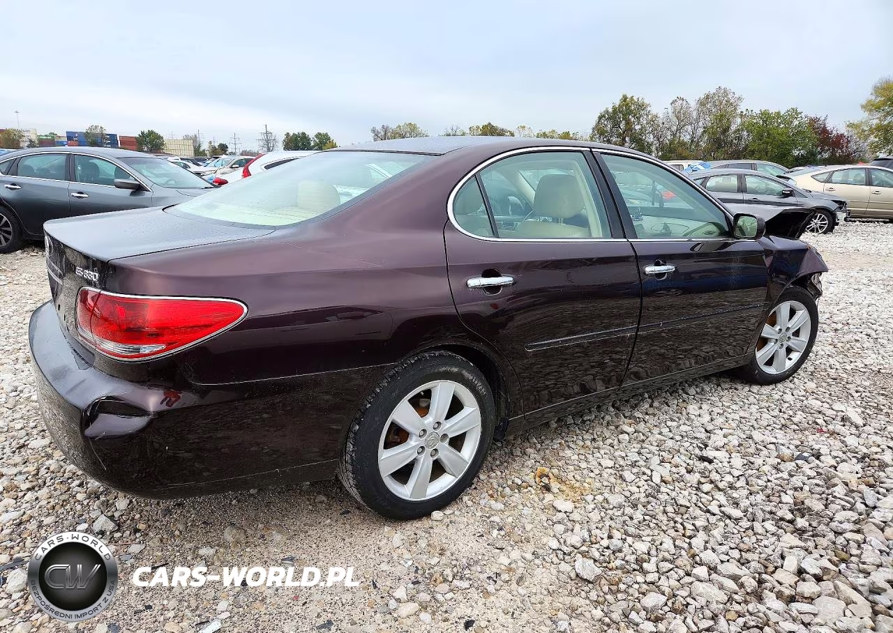 2005 Lexus Es 330 VIN:JTHBA30G955063238 - 3