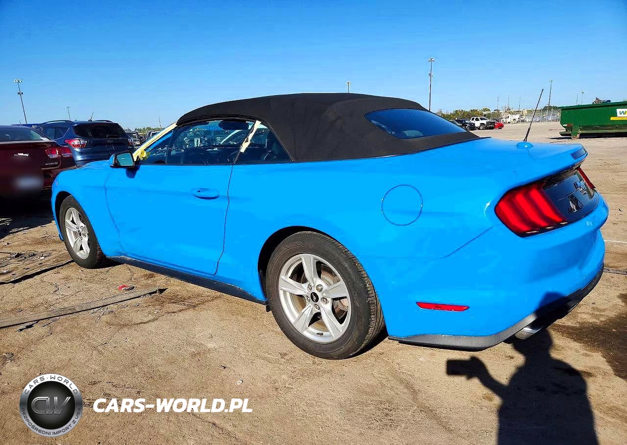 2023 Ford Mustang VIN:1FATP8UH2P5108839 - 2