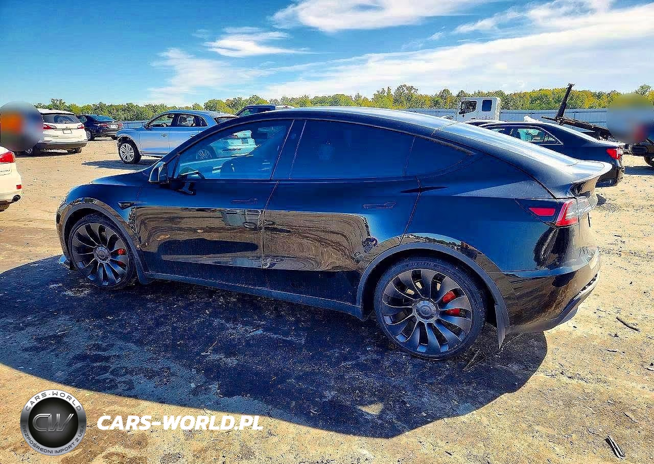 2023 Tesla Model Y VIN:7SAYGDEF8PF839170 - 2