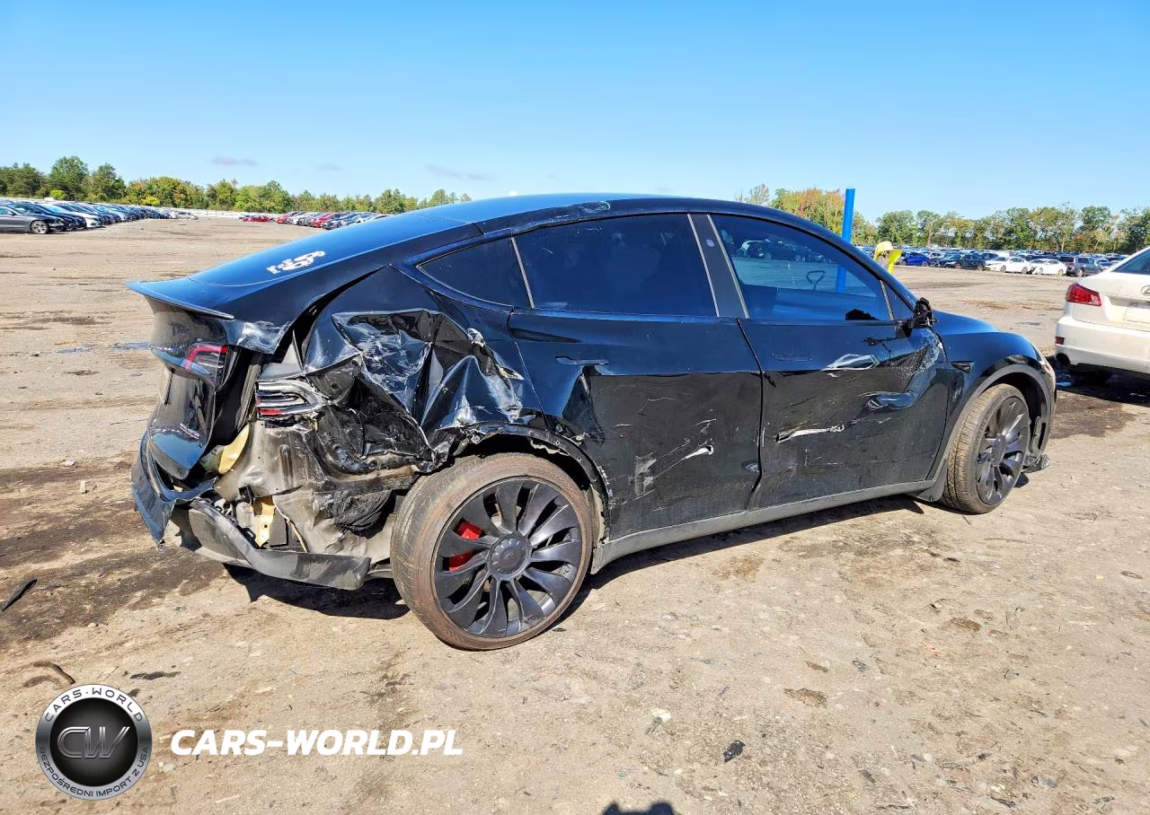 2023 Tesla Model Y VIN:7SAYGDEF8PF839170 - 3