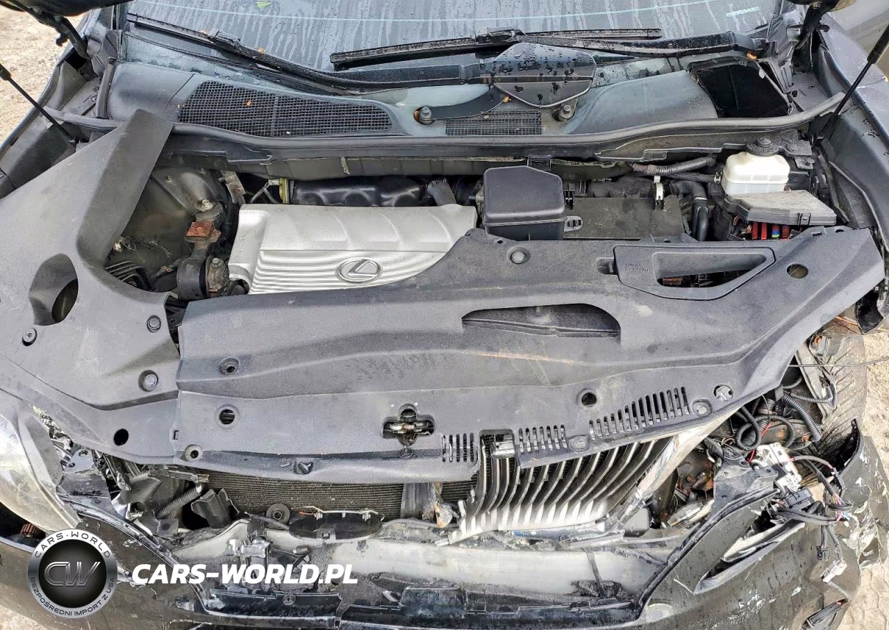 2010 Lexus Rx 350 VIN:2T2BK1BA0AC040225 - 12