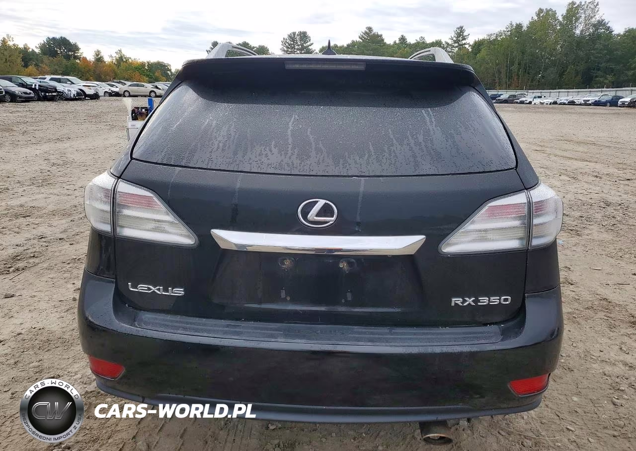 2010 Lexus Rx 350 VIN:2T2BK1BA0AC040225 - 6