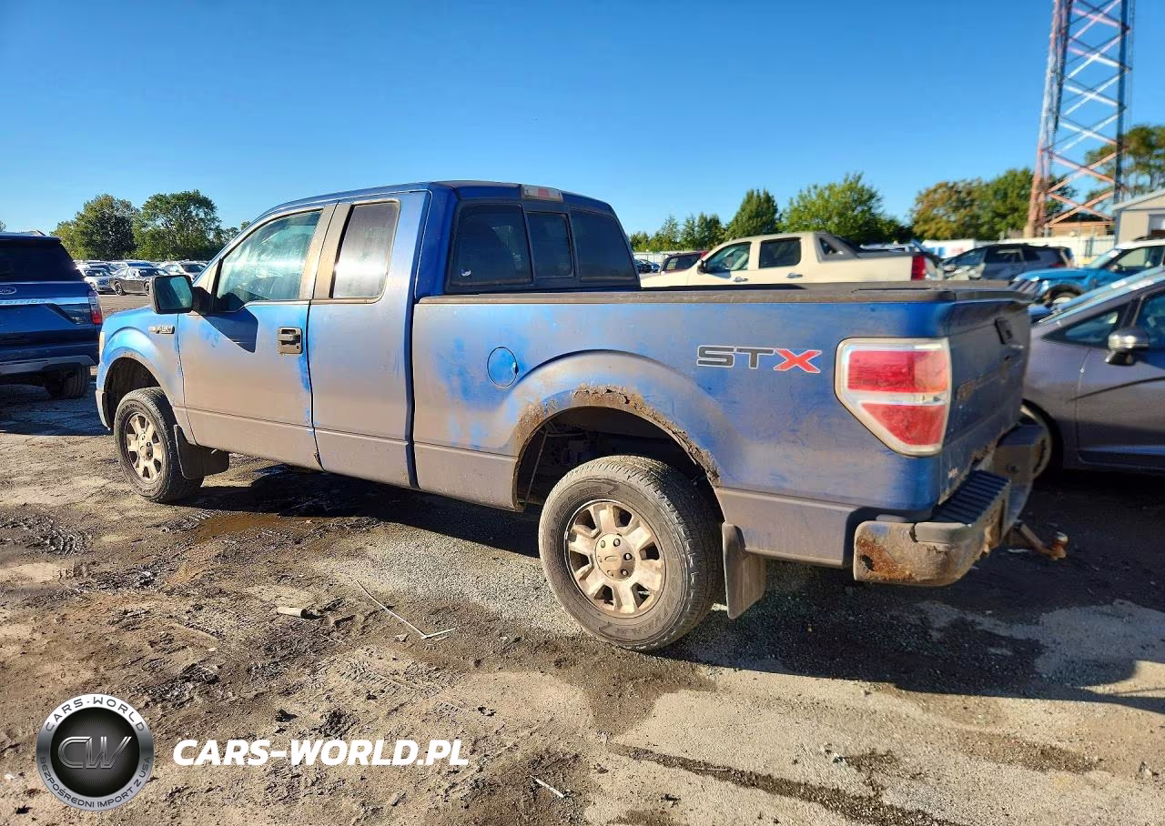 2010 Ford F150 Super Cab VIN:1FTEX1CW1AFC69338 - 2