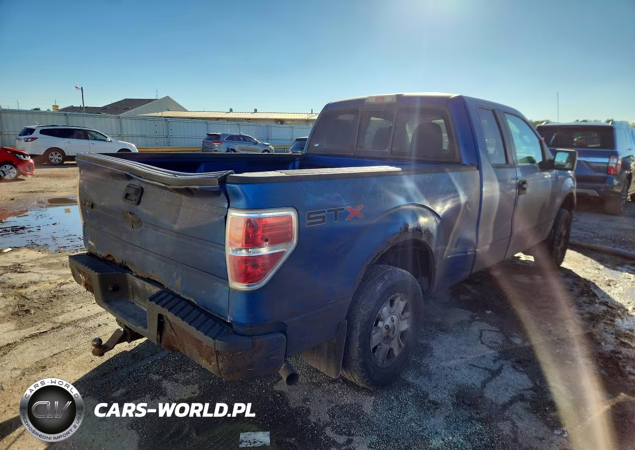 2010 Ford F150 Super Cab VIN:1FTEX1CW1AFC69338 - 3