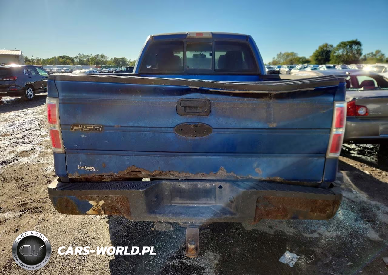 2010 Ford F150 Super Cab VIN:1FTEX1CW1AFC69338 - 6