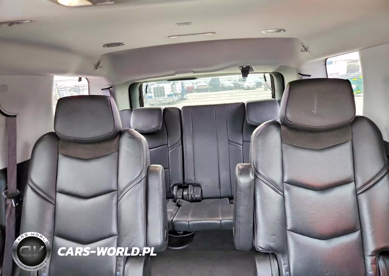2020 Cadillac Escalade 2Wd Luxury VIN:1GYS3BKJ1LR214491 - 10