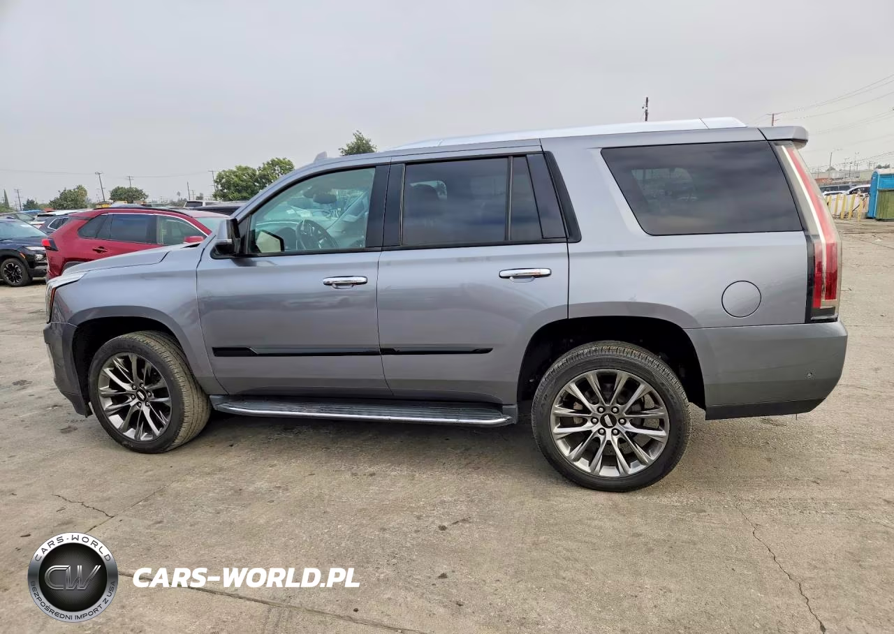 2020 Cadillac Escalade 2Wd Luxury VIN:1GYS3BKJ1LR214491 - 2