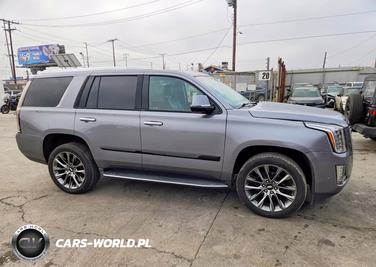 2020 Cadillac Escalade 2Wd Luxury VIN:1GYS3BKJ1LR214491 - 4