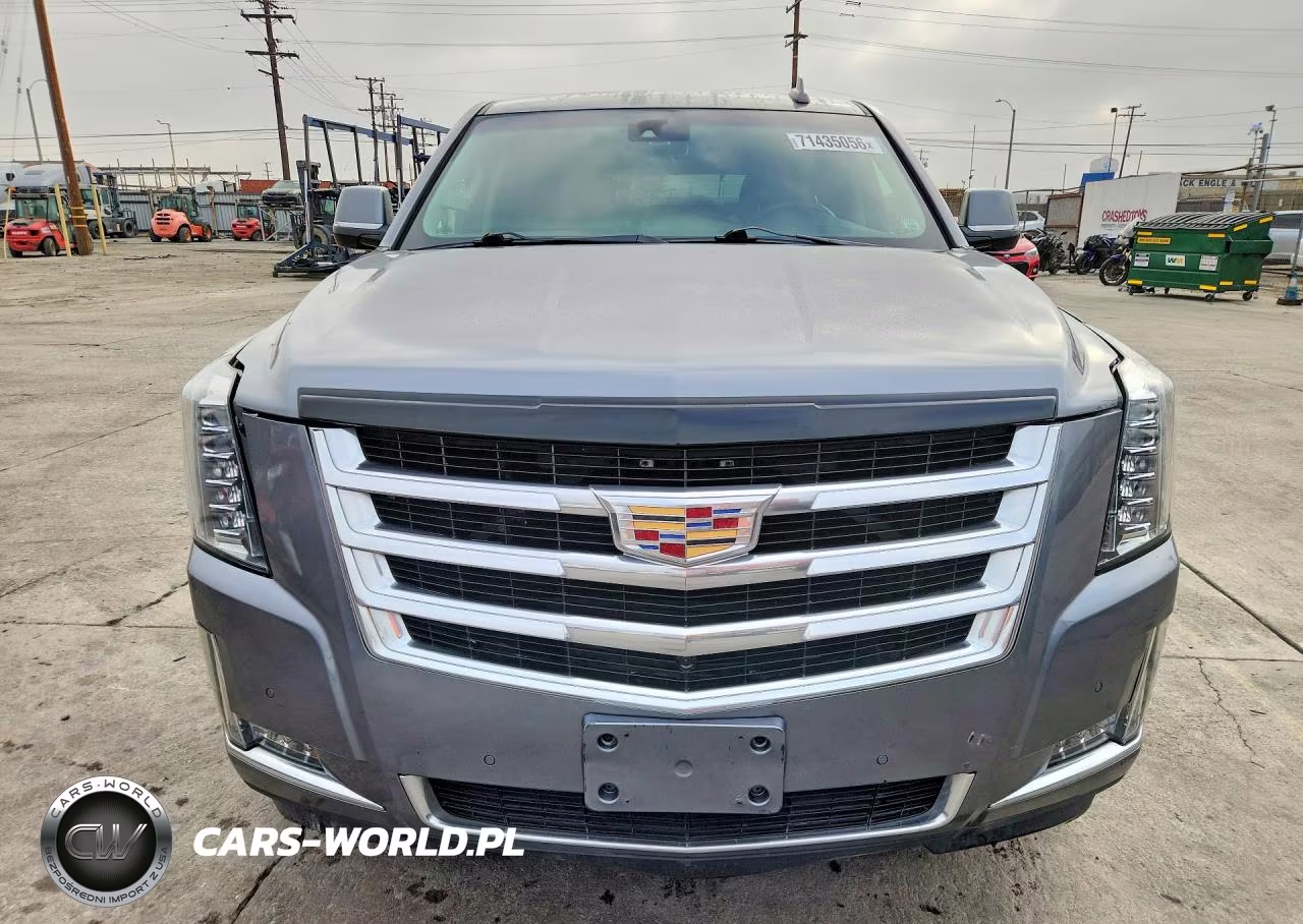 2020 Cadillac Escalade 2Wd Luxury VIN:1GYS3BKJ1LR214491 - 5