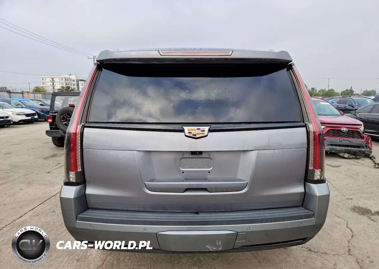 2020 Cadillac Escalade 2Wd Luxury VIN:1GYS3BKJ1LR214491 - 6