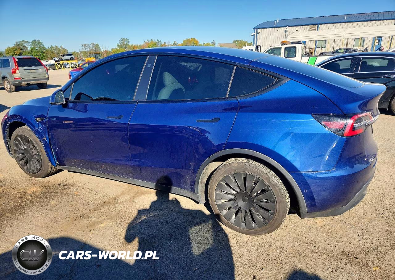 2021 Tesla Model Y VIN:5YJYGDEE5MF117798 - 2
