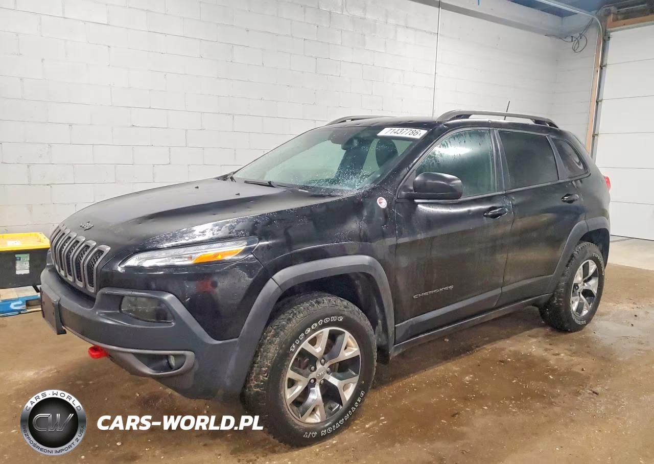 2017 Jeep Cherokee Trailhawk VIN:1C4PJMBS8HW552209 - 1
