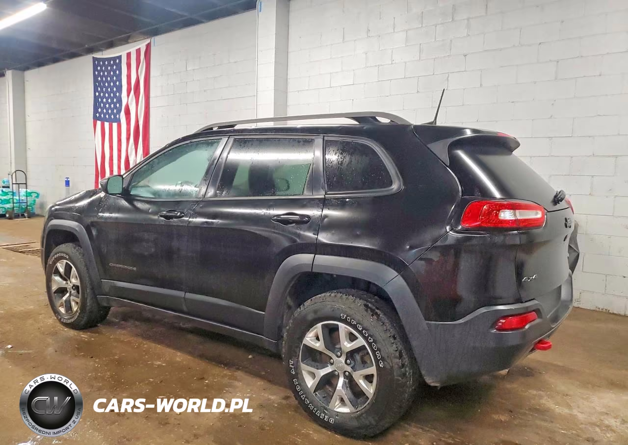 2017 Jeep Cherokee Trailhawk VIN:1C4PJMBS8HW552209 - 2