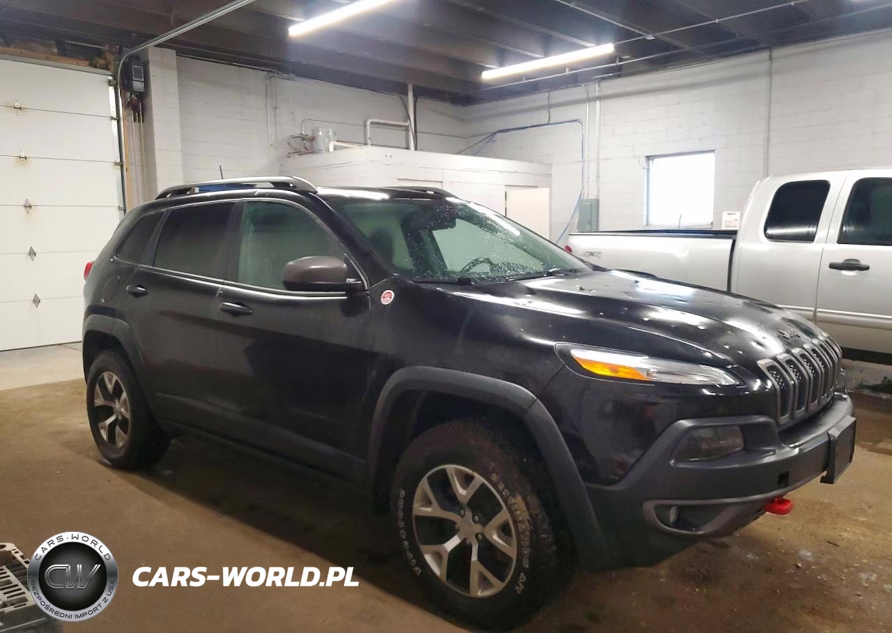 2017 Jeep Cherokee Trailhawk VIN:1C4PJMBS8HW552209 - 4