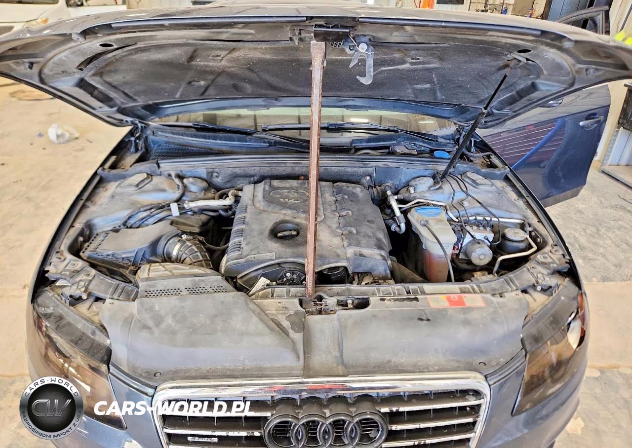 2009 Audi A4 Premium Plus VIN:WAUSF78K79N024475 - 11