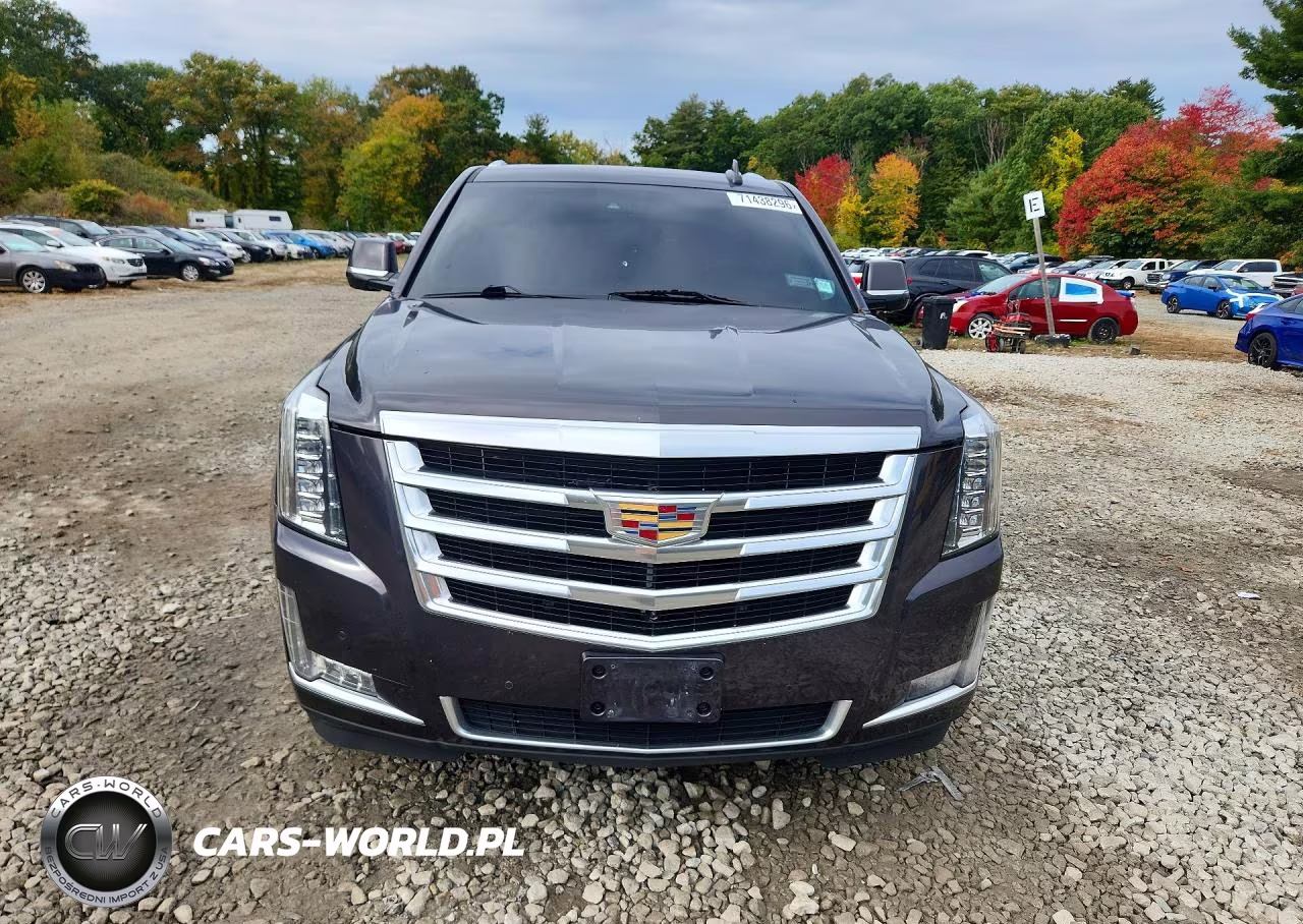 2017 Cadillac Escalade Luxury VIN:1GYS4BKJ1HR211739 - 5