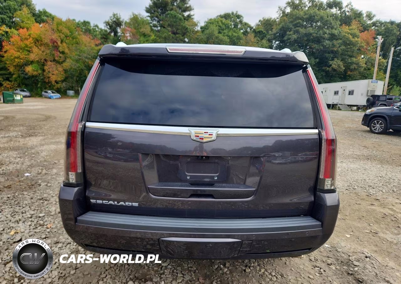 2017 Cadillac Escalade Luxury VIN:1GYS4BKJ1HR211739 - 6