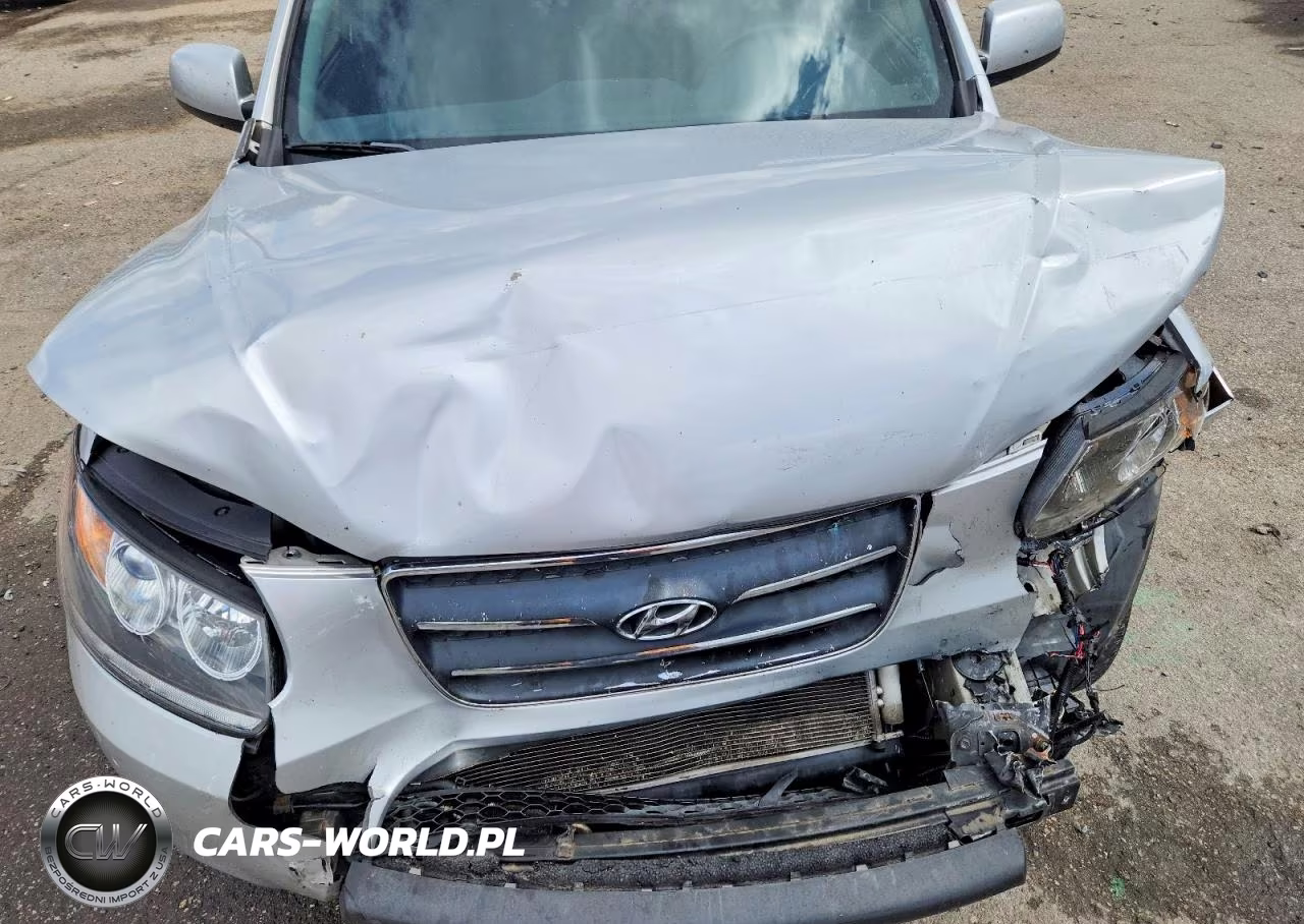 2008 Hyundai Santa Fe Se VIN:5NMSH13E08H159448 - 12
