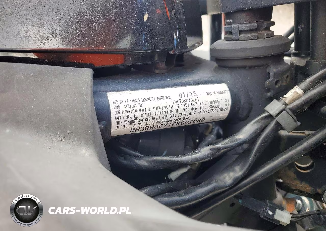 2015 Yamaha Yzfr3 VIN:MH3RH06Y1FK002089 - 9