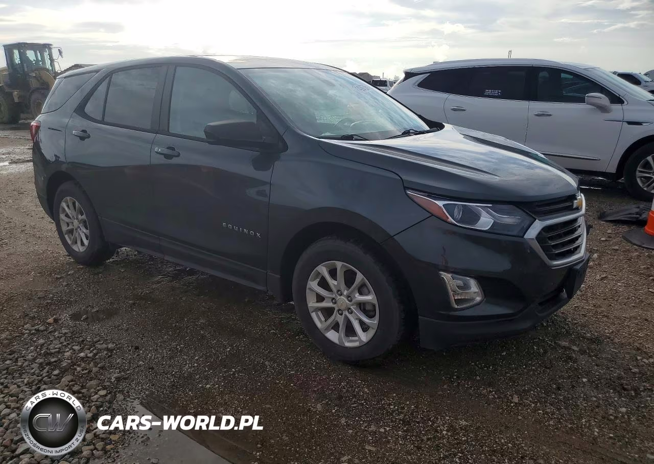 2020 Chevrolet Equinox Ls VIN:2GNAXHEV4L6250086 - 4