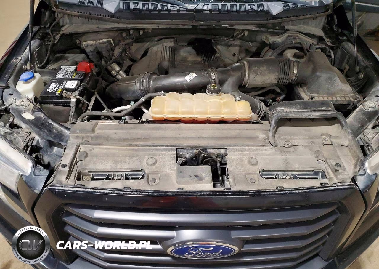 2017 Ford F150 Supercrew VIN:1FTEW1EG5HFA54290 - 11