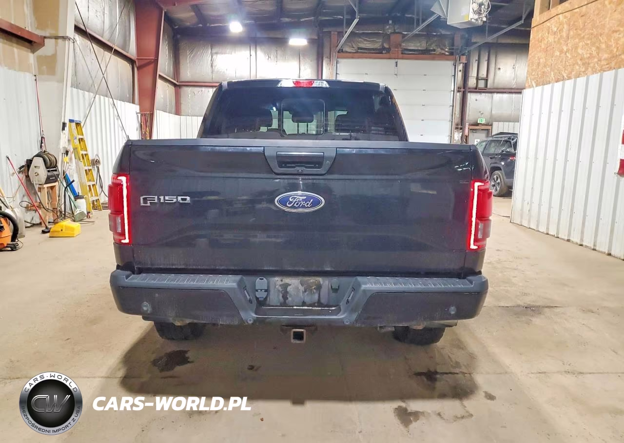 2017 Ford F150 Supercrew VIN:1FTEW1EG5HFA54290 - 6