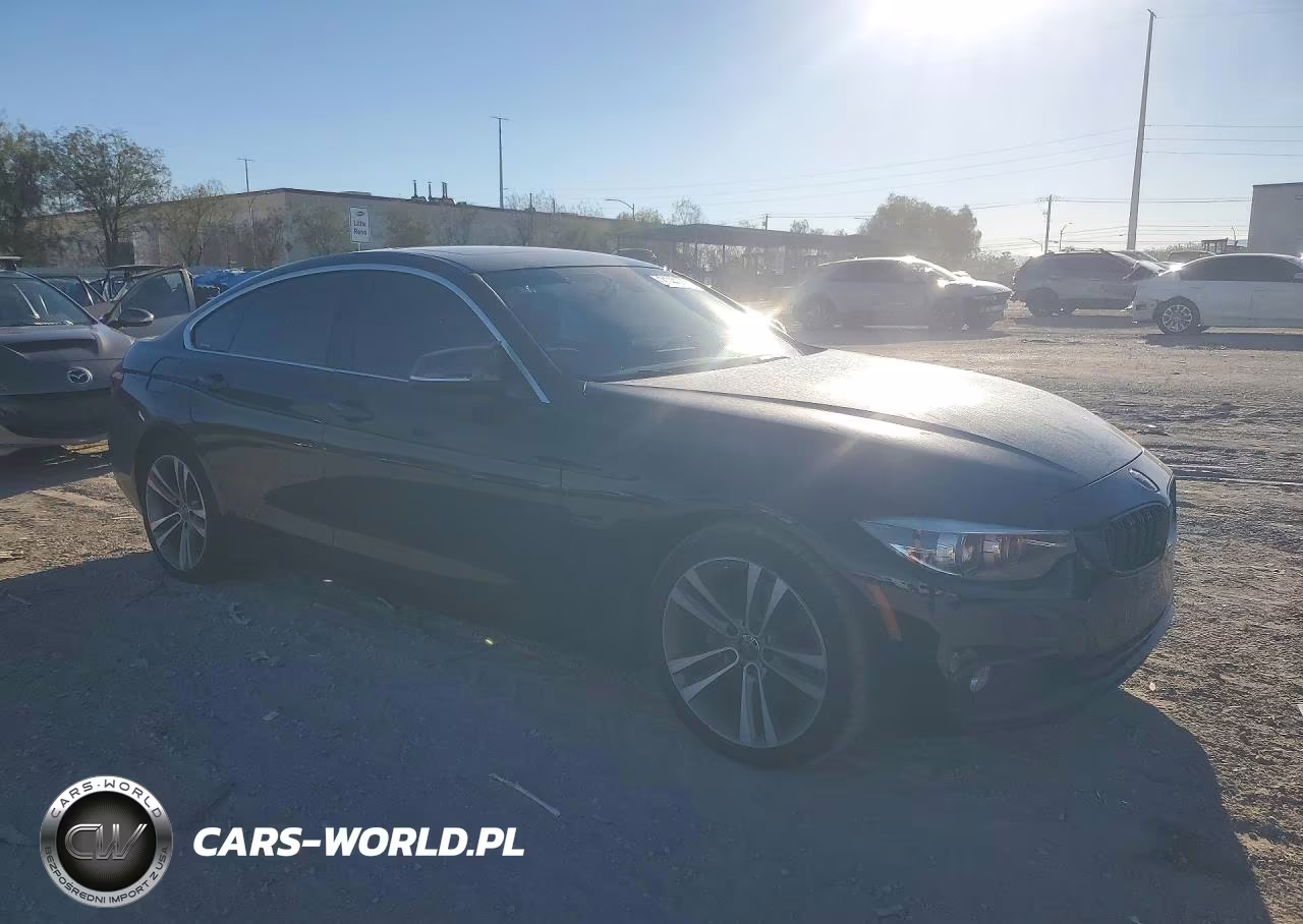 2018 BMW 430I Gran Coupe VIN:WBA4J1C51JBG79004 - 4