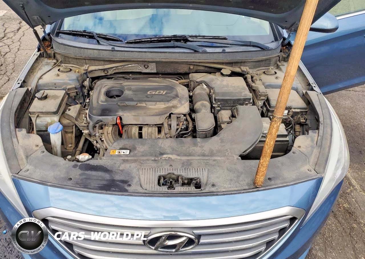 2016 Hyundai Sonata Se VIN:5NPE24AFXGH282980 - 11