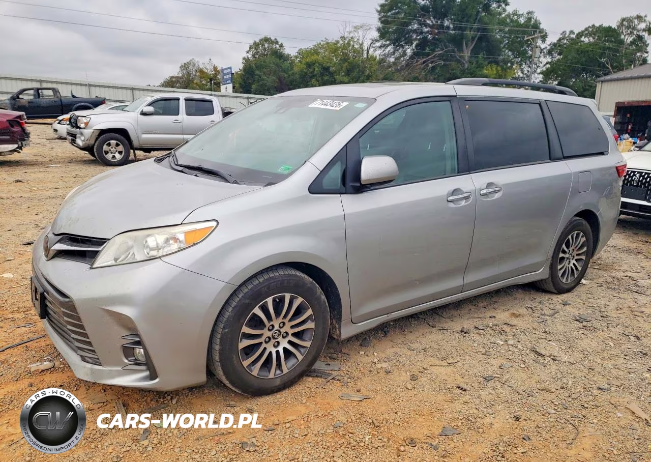 2019 Toyota Sienna Xle 8-Passenger VIN:5TDYZ3DC3KS010701 - 1