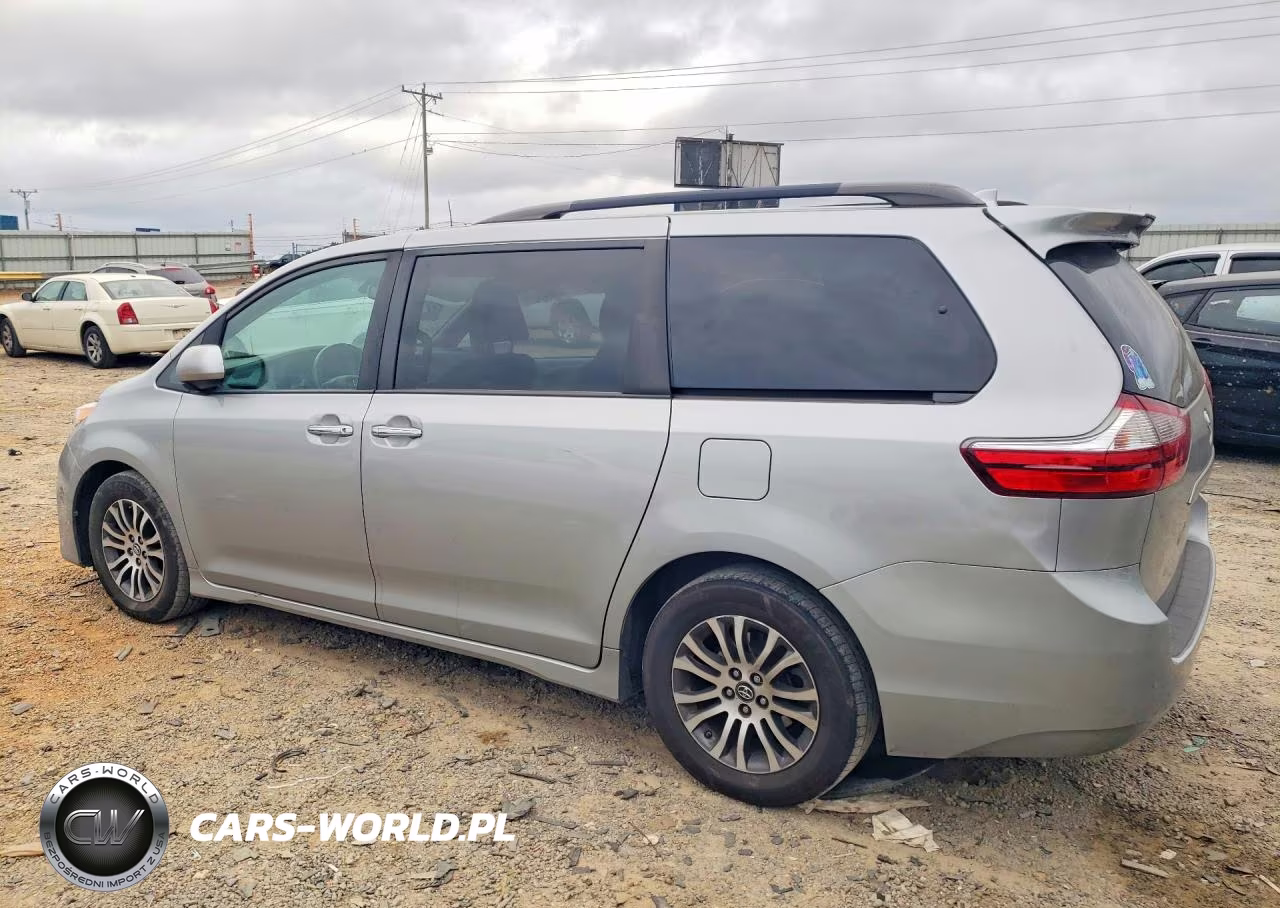 2019 Toyota Sienna Xle 8-Passenger VIN:5TDYZ3DC3KS010701 - 2