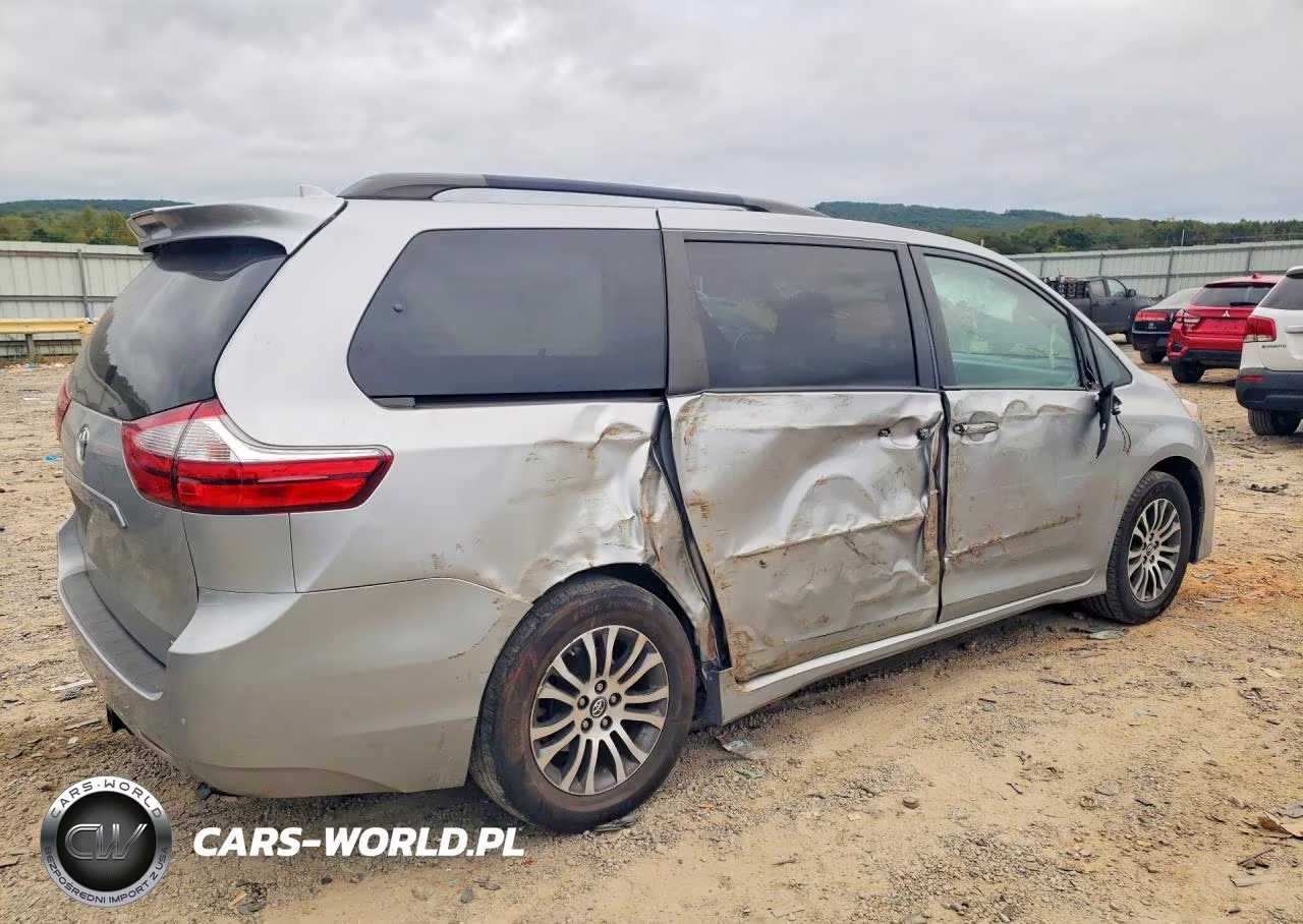 2019 Toyota Sienna Xle 8-Passenger VIN:5TDYZ3DC3KS010701 - 3