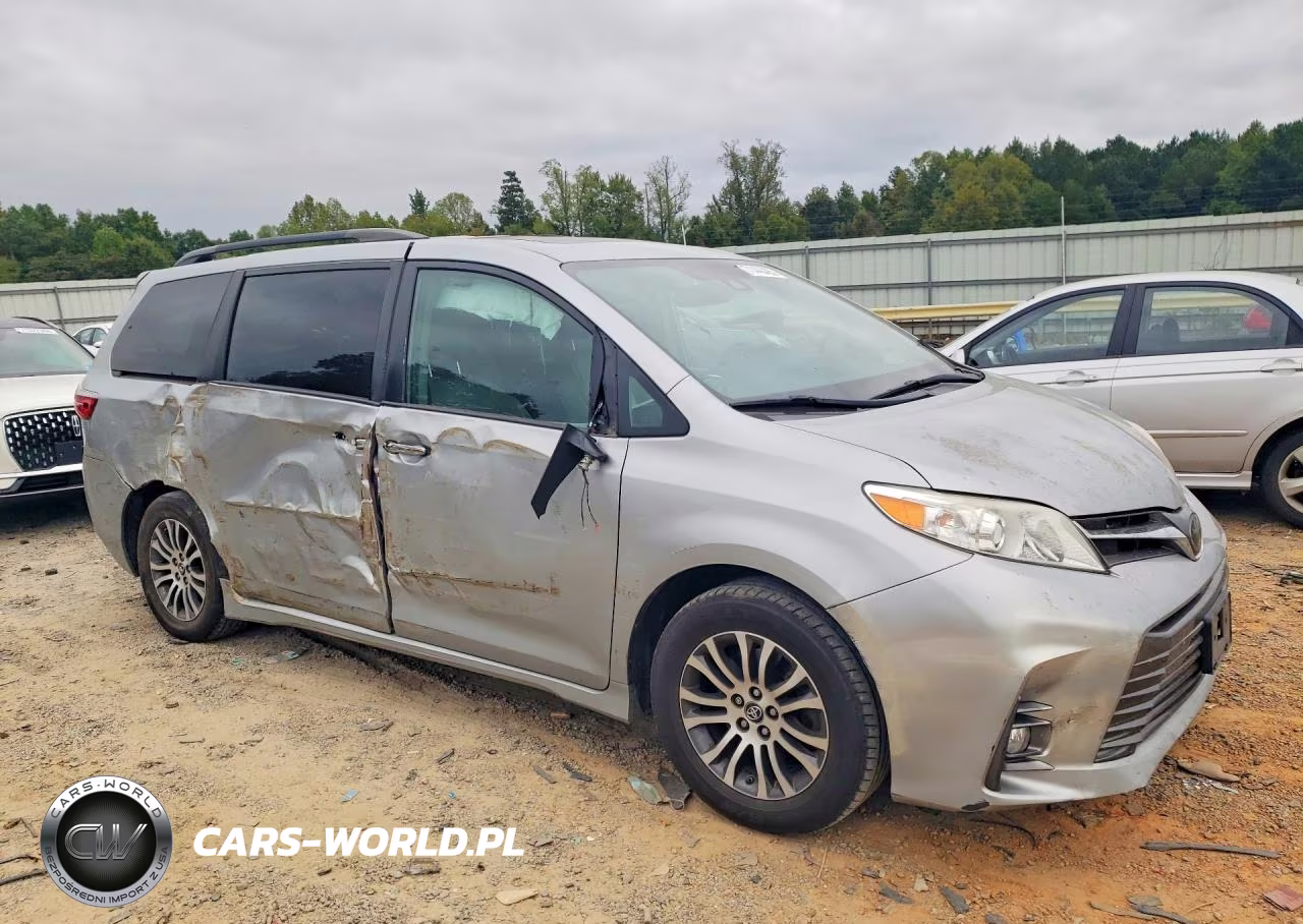 2019 Toyota Sienna Xle 8-Passenger VIN:5TDYZ3DC3KS010701 - 4