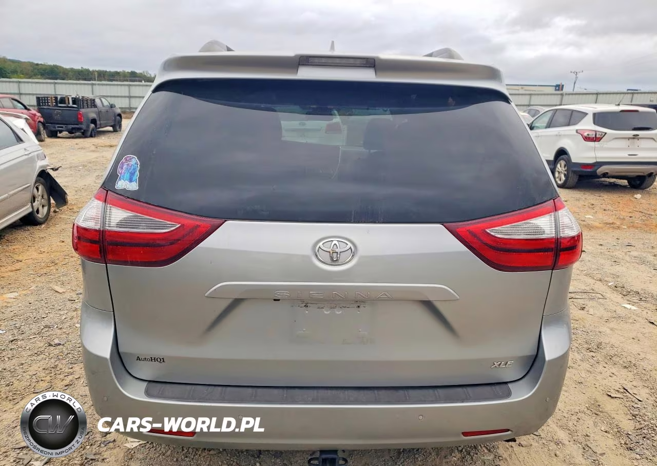 2019 Toyota Sienna Xle 8-Passenger VIN:5TDYZ3DC3KS010701 - 6